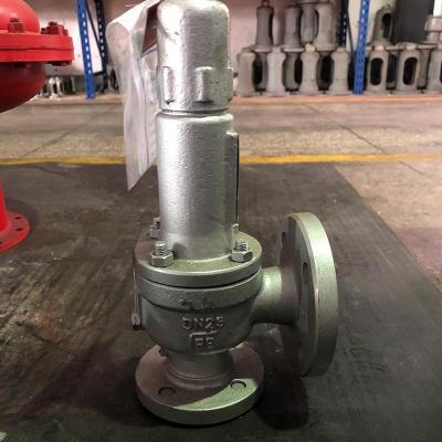 Stainless Steel Cf8 Pressue 3 bar Release Safety Valve Group - Thumbnail 3