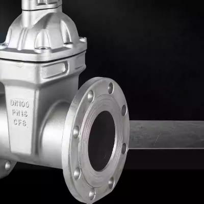 Z45X-16P Stainless Steel 304 Manual Soft Seal Non-Rising Stem Gate Valve ISO9001/CE Certified for Drinking Water Pump - Thumbnail 5