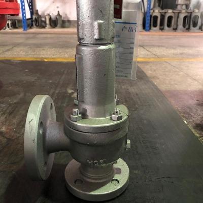 Stainless Steel Cf8 Pressue 3 bar Release Safety Valve Group - Thumbnail 6
