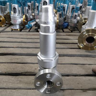 Stainless Steel Cf8 Pressue 3 bar Release Safety Valve Group - Thumbnail 5